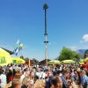 Maibaum 2019